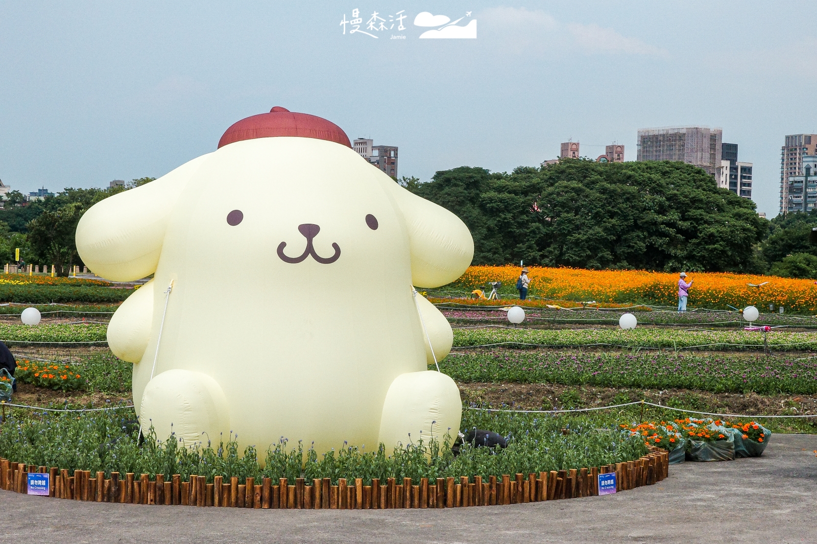 新北市板橋區 板橋蝴蝶公園 2026 新北河濱蝶戀季 布丁狗裝置
