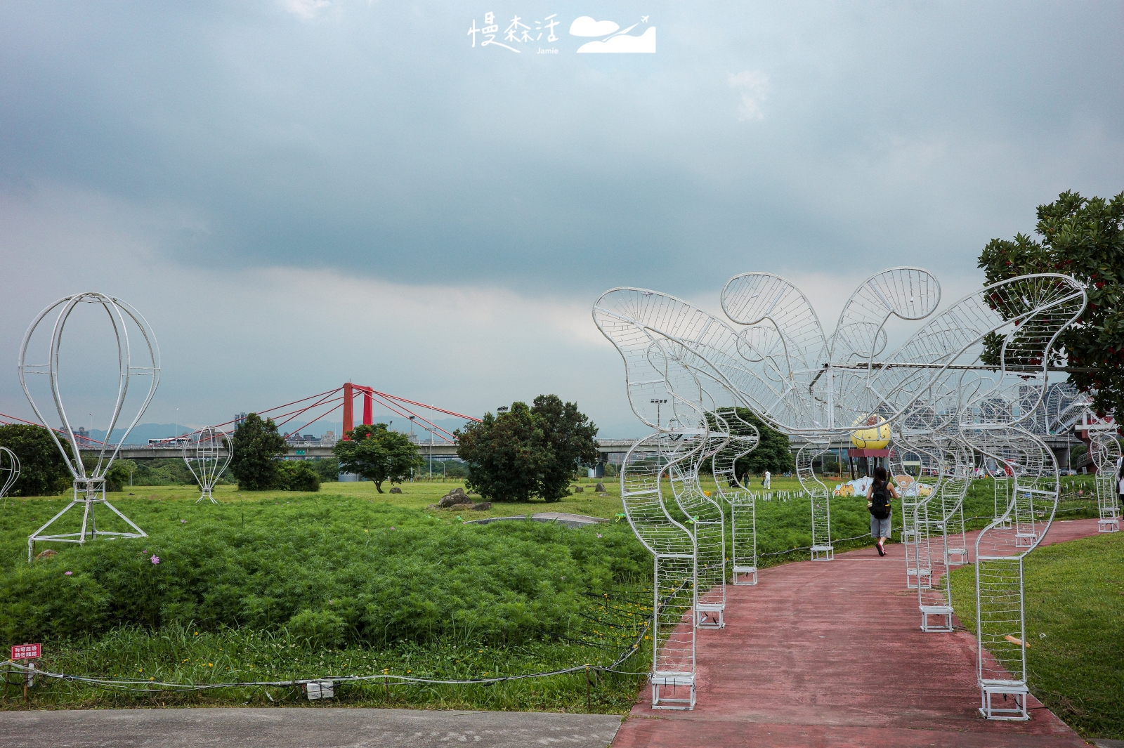 新北市板橋區 板橋蝴蝶公園 2026 新北河濱蝶戀季