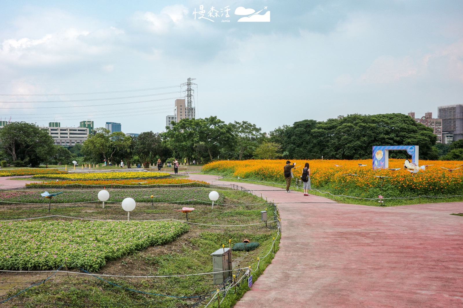 新北市板橋區 板橋蝴蝶公園 2026 新北河濱蝶戀季