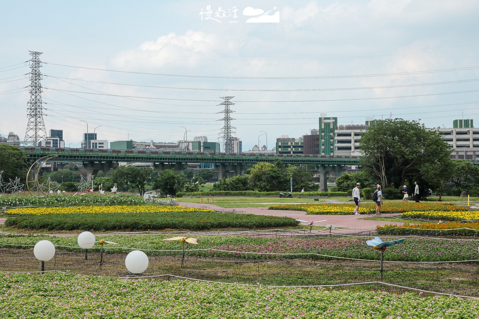 新北市板橋區 板橋蝴蝶公園 2026 新北河濱蝶戀季 花海