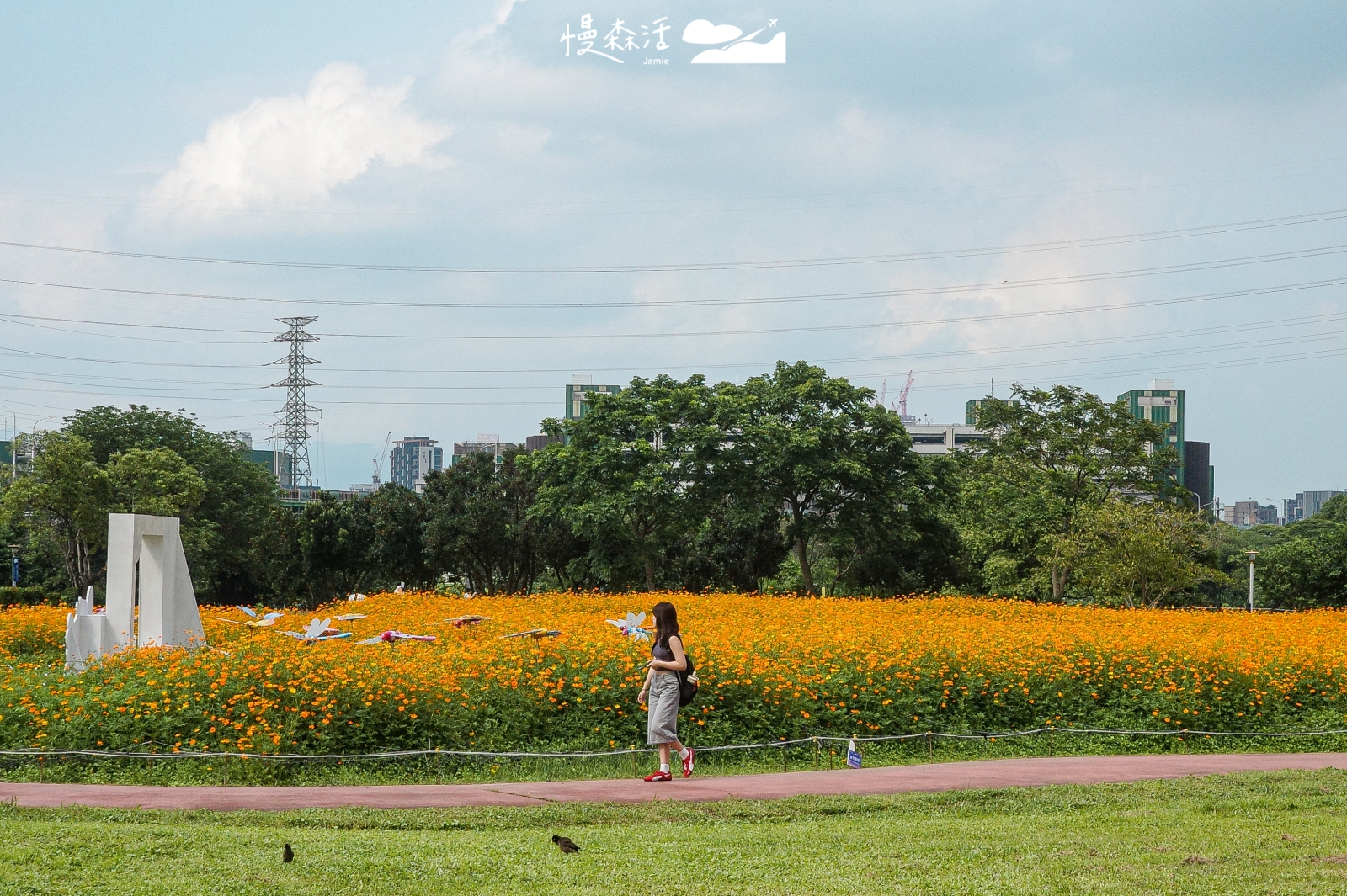 新北市板橋區 板橋蝴蝶公園 2026 新北河濱蝶戀季