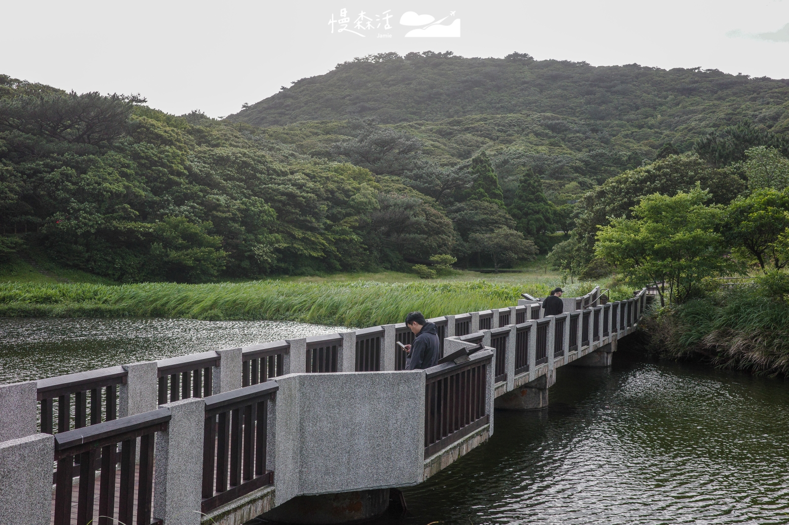 台北市北投區 陽明山 大屯自然公園環湖步道