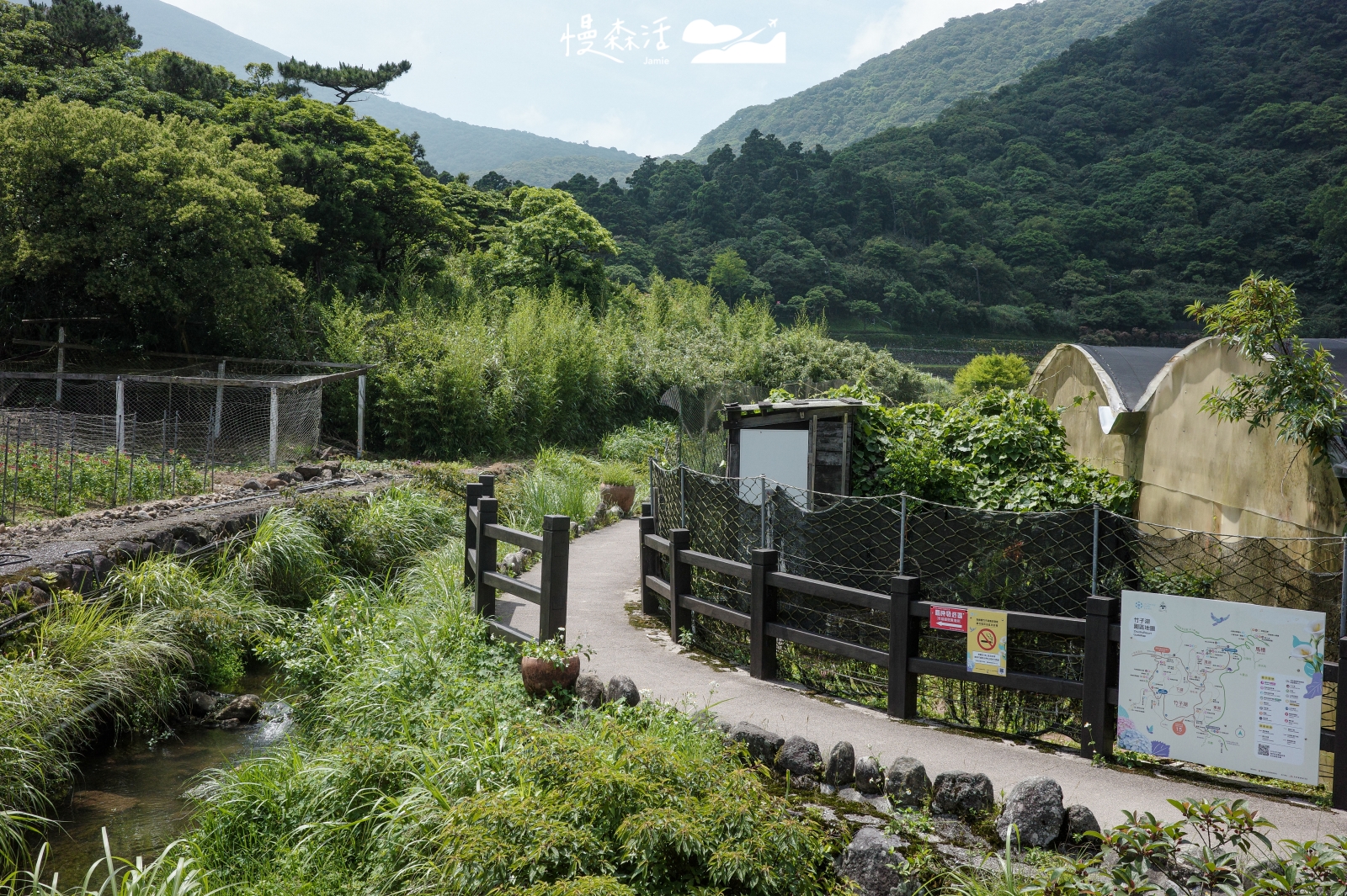 台北市北投區 陽明山竹子湖 頂湖海芋步道
