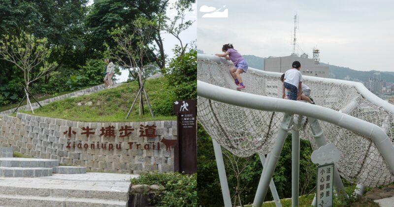北投新景點！小牛埔步道串聯三層崎花海，雲散平台成最新打卡點