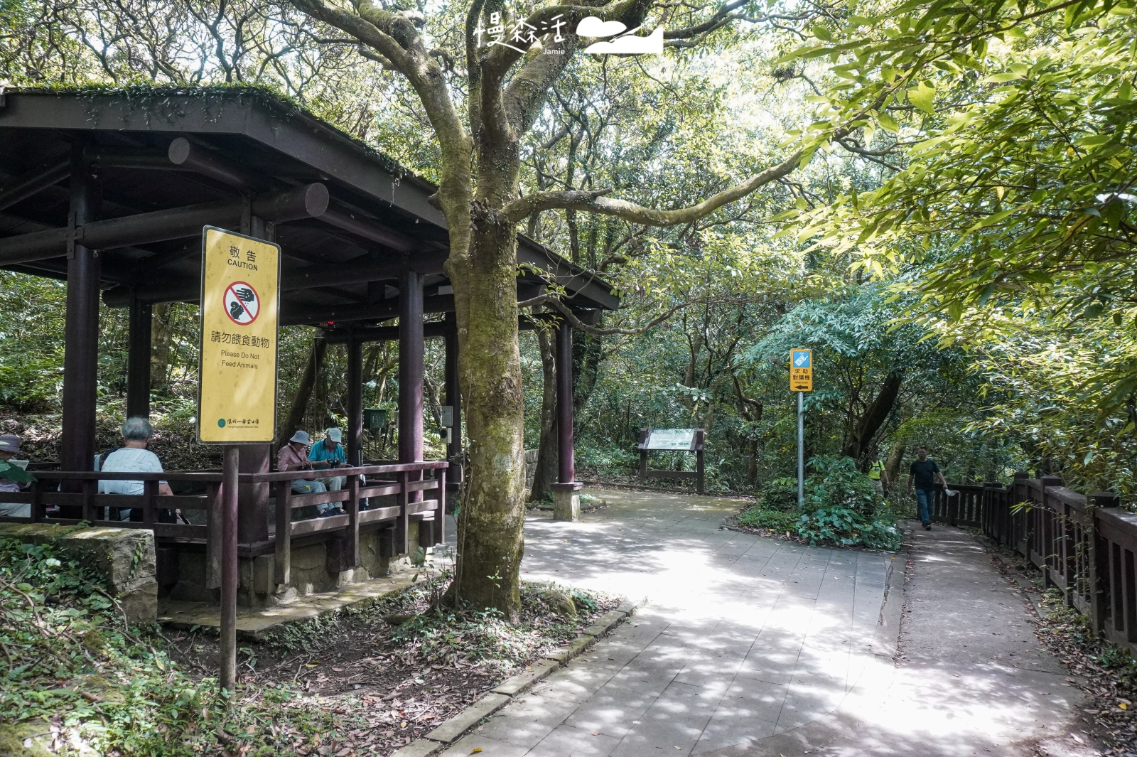 新北市淡水區 陽明山降溫步道 二子坪步道