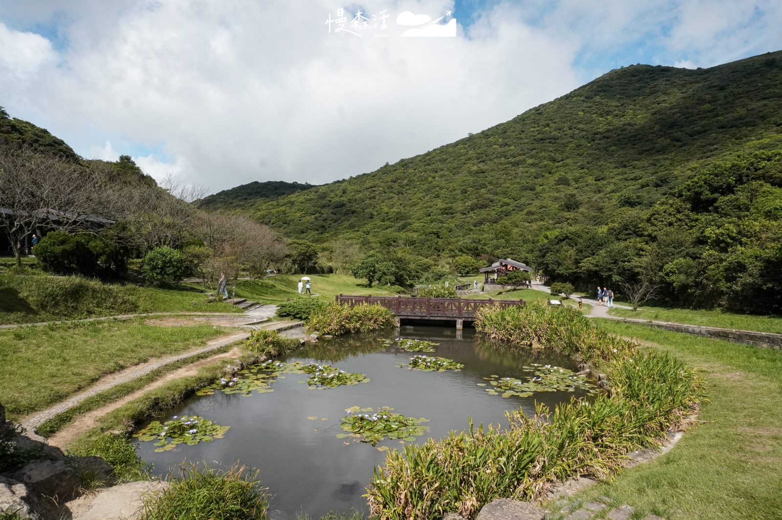 新北市淡水區 陽明山降溫步道 二子坪步道