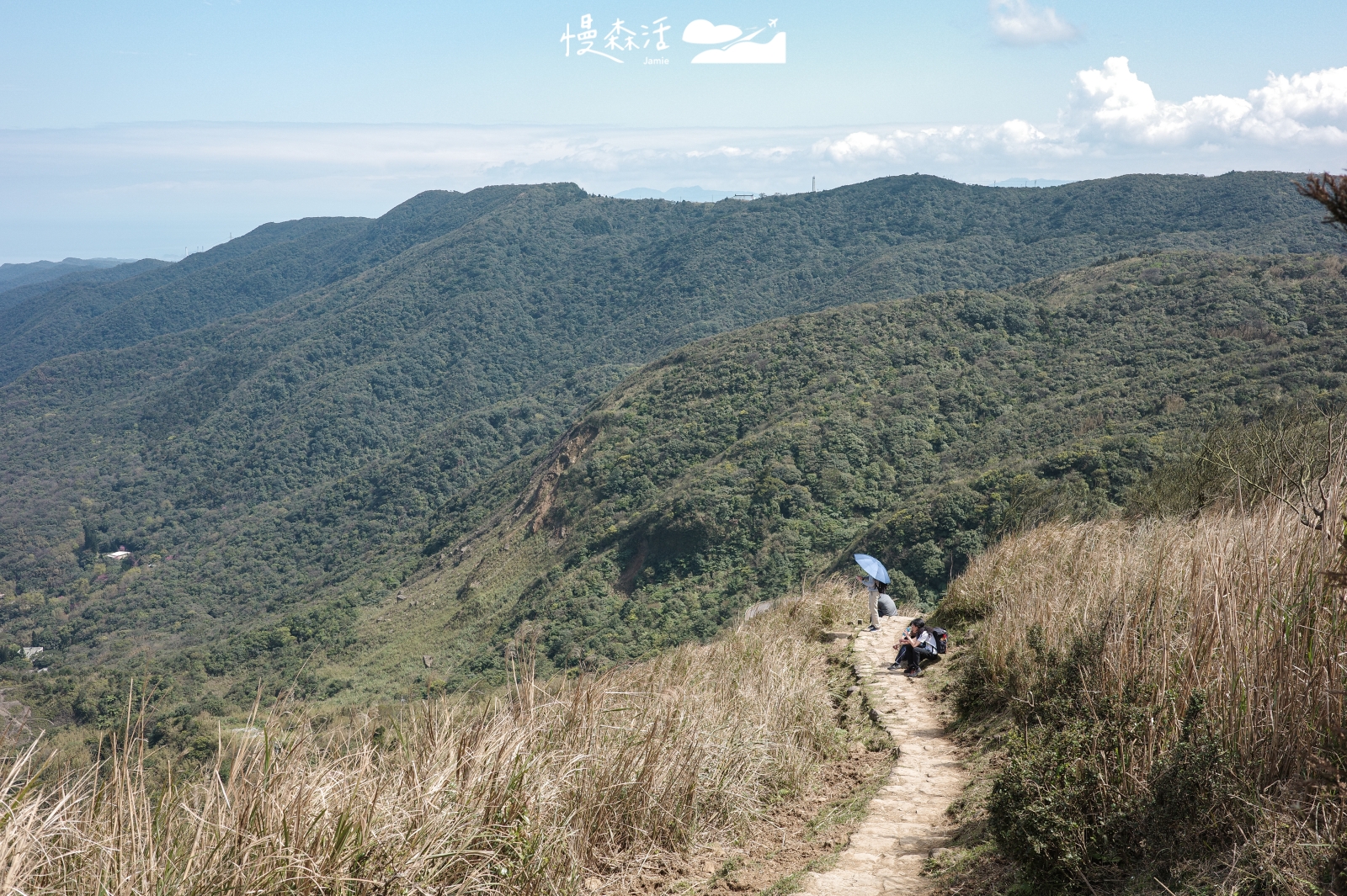 台北市士林區 陽明山降溫步道 頂山石梯嶺步道