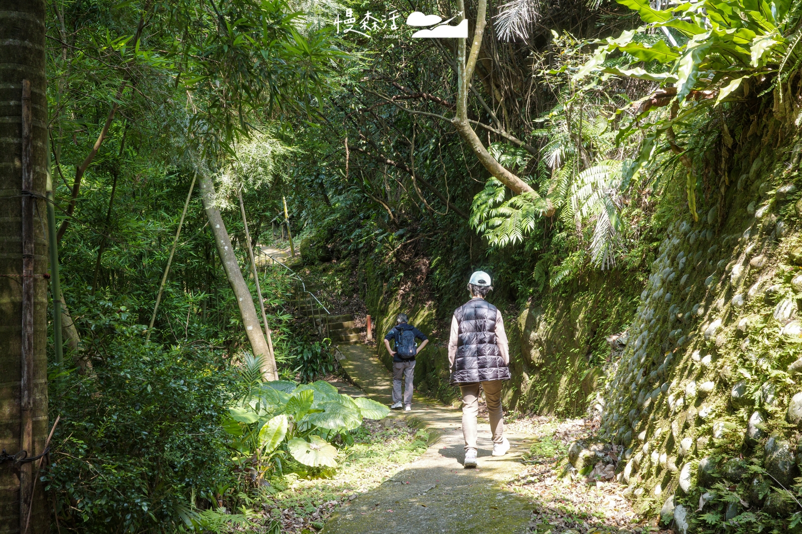 新北市新店區 小獅山步道