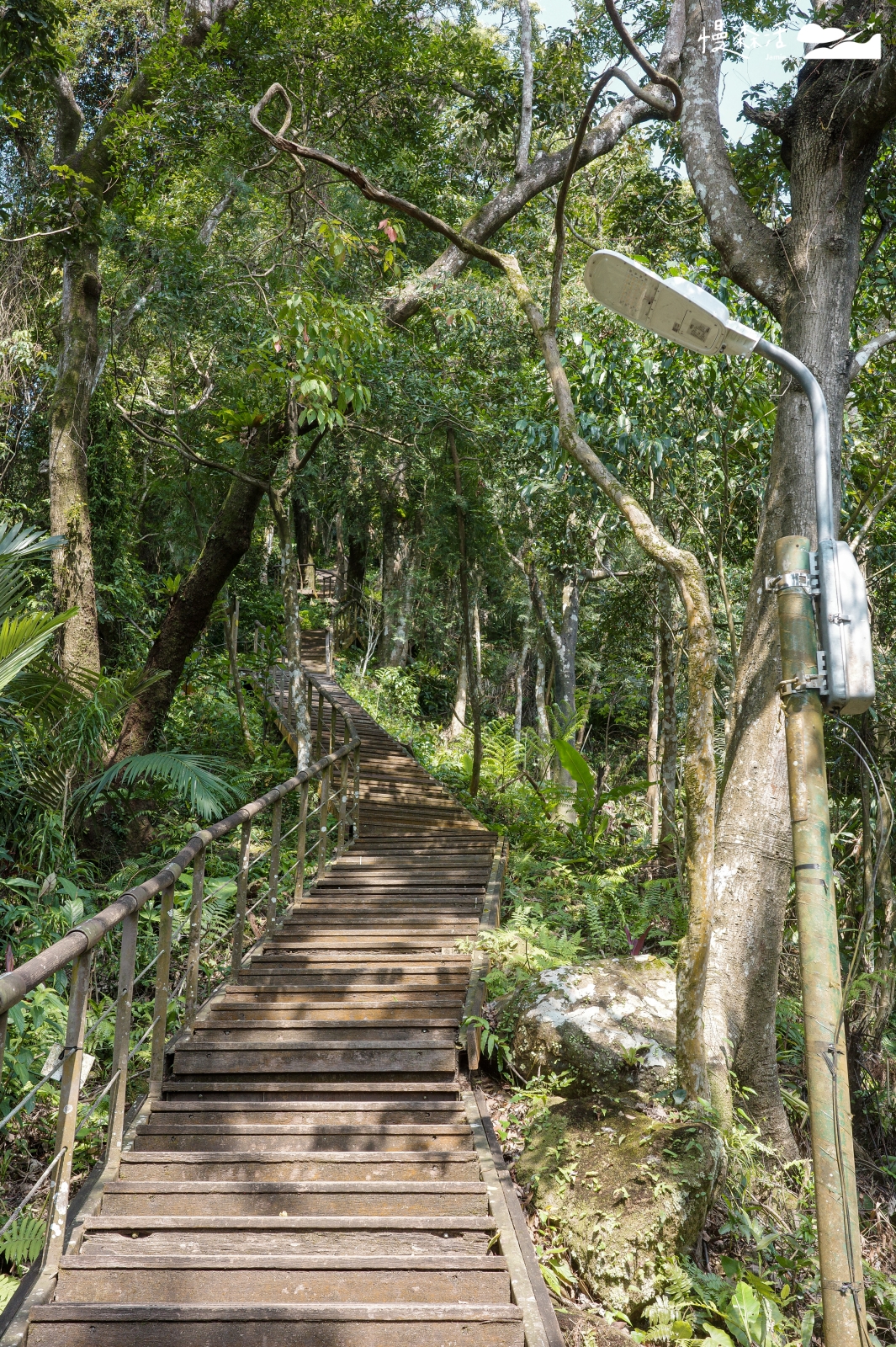 新北市新店區 小獅山步道 樹蔭階梯棧道