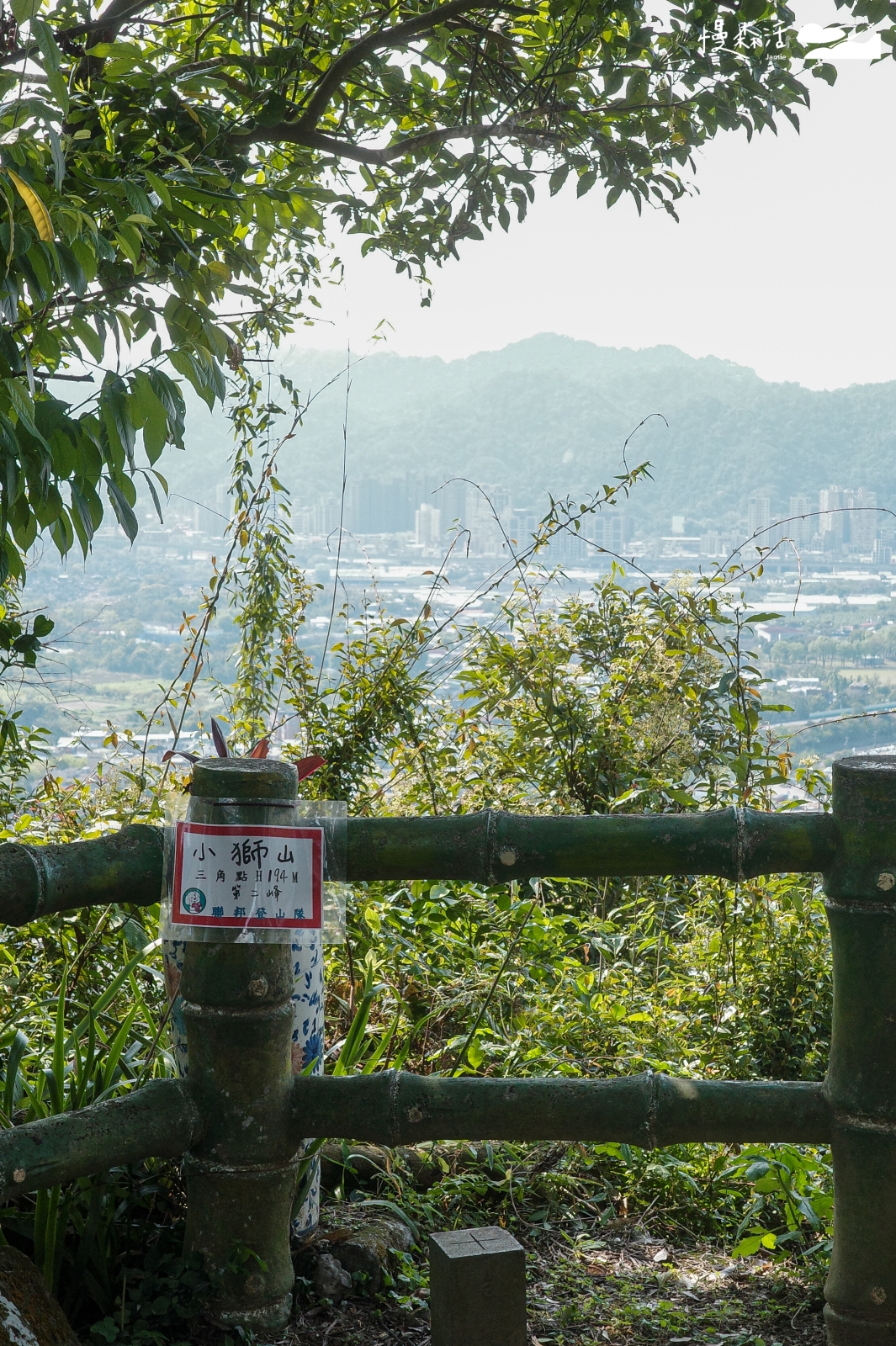 新北市新店區 小獅山步道 小獅山第二峰