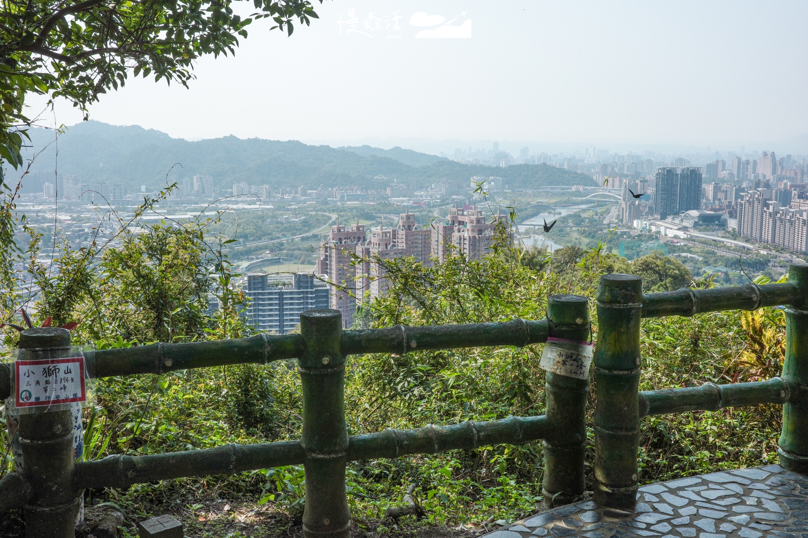夏日避暑!新店小獅山步道樹蔭簇擁,20分鐘飽覽碧潭北二高美景