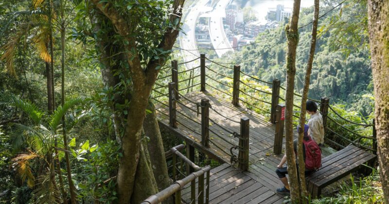 夏日避暑！新店小獅山步道樹蔭簇擁，20分鐘飽覽碧潭北二高美景