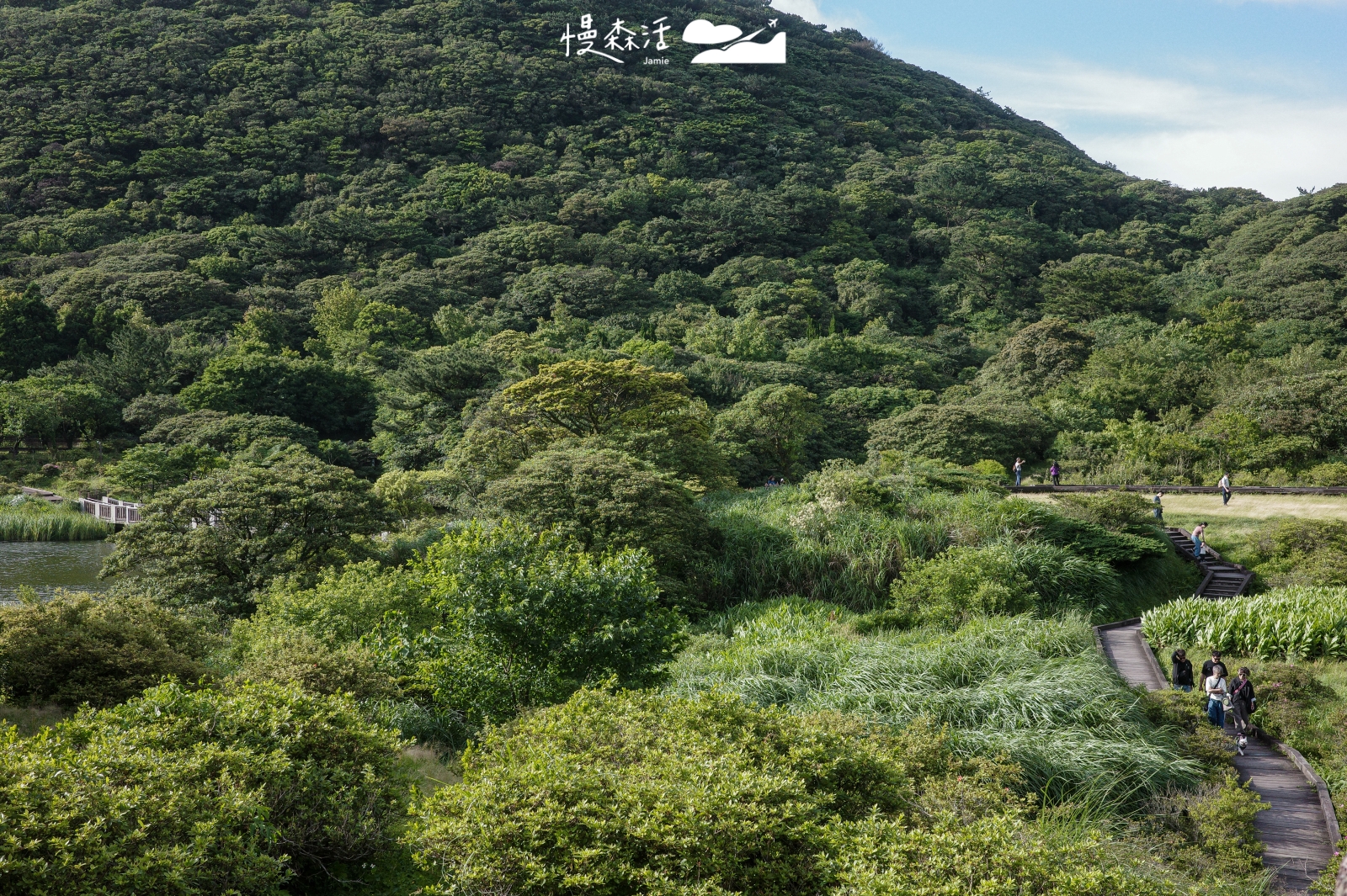 新北市三芝區 陽明山降溫步道 大屯自然公園