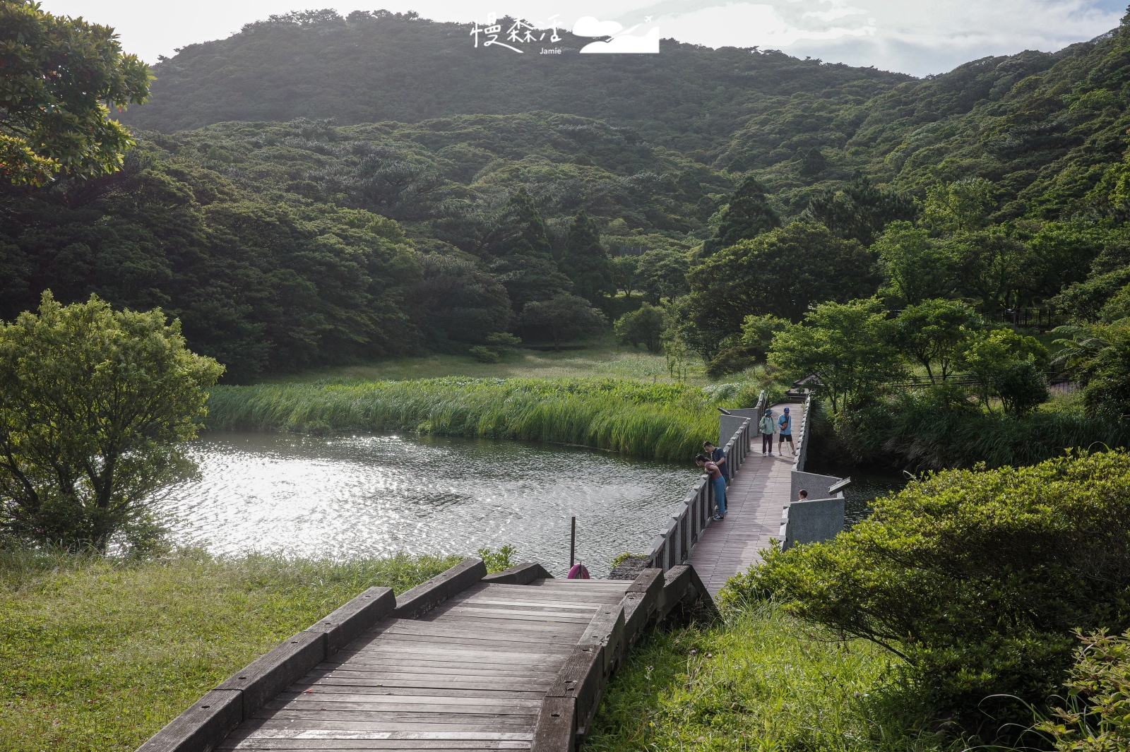 新北市三芝區 陽明山降溫步道 大屯自然公園
