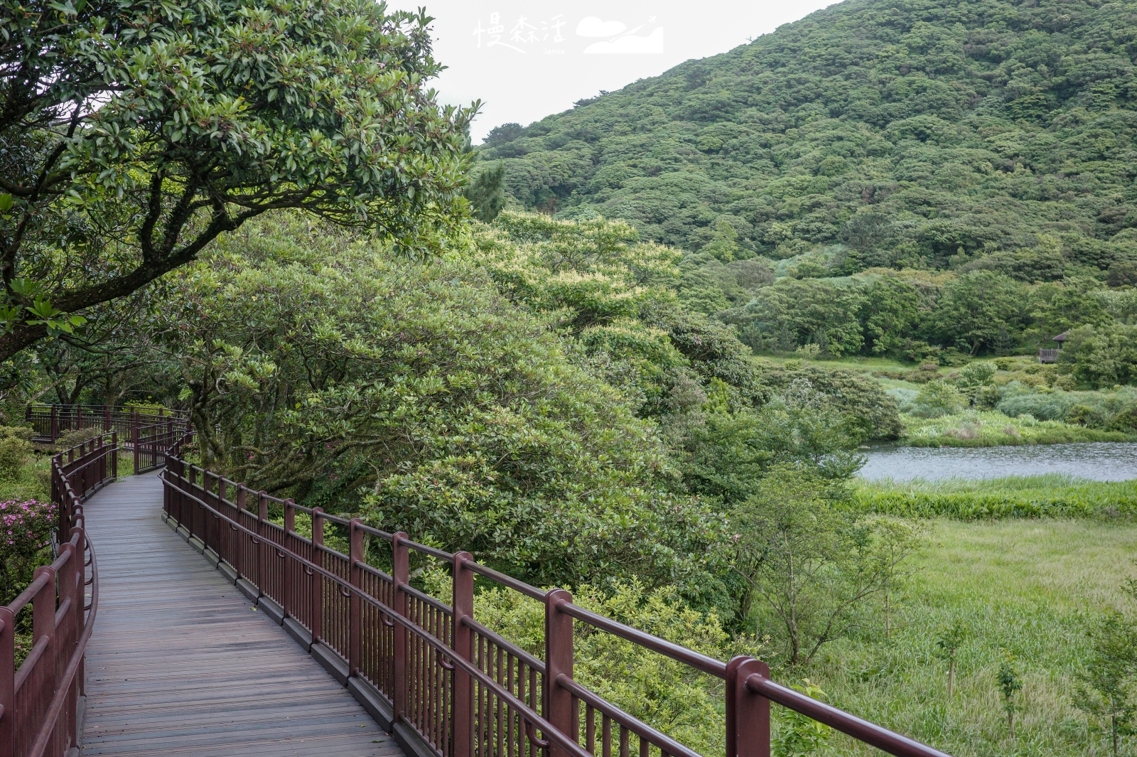 端午連假來去陽明山5個降溫步道,夏日運動也消暑