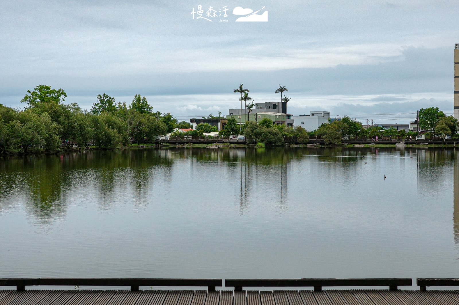 宜蘭縣羅東鎮 羅東林業文化園區 生態池