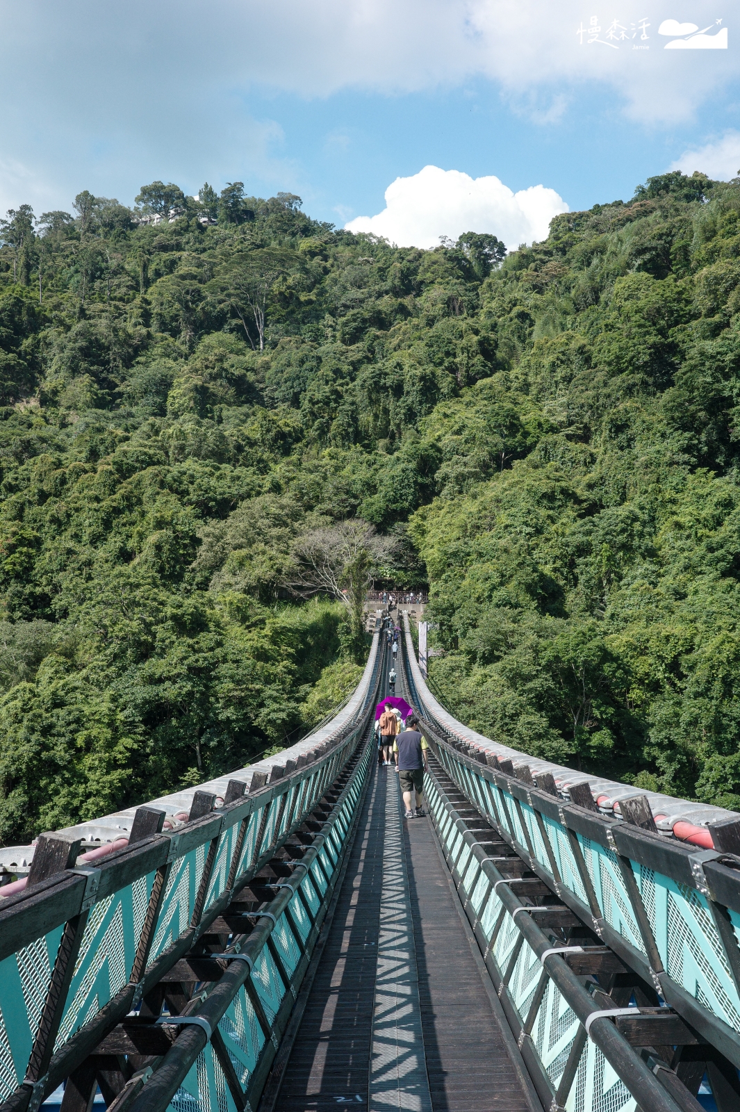 桃園市復興區 新溪口吊橋