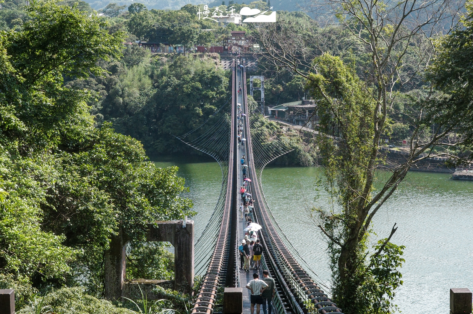 桃園市復興區 新溪口吊橋