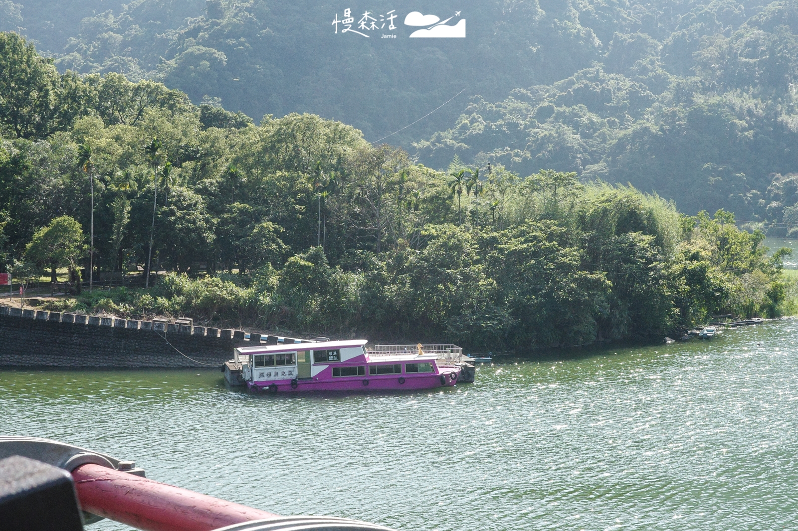 桃園市復興區 新溪口吊橋 橋上風景