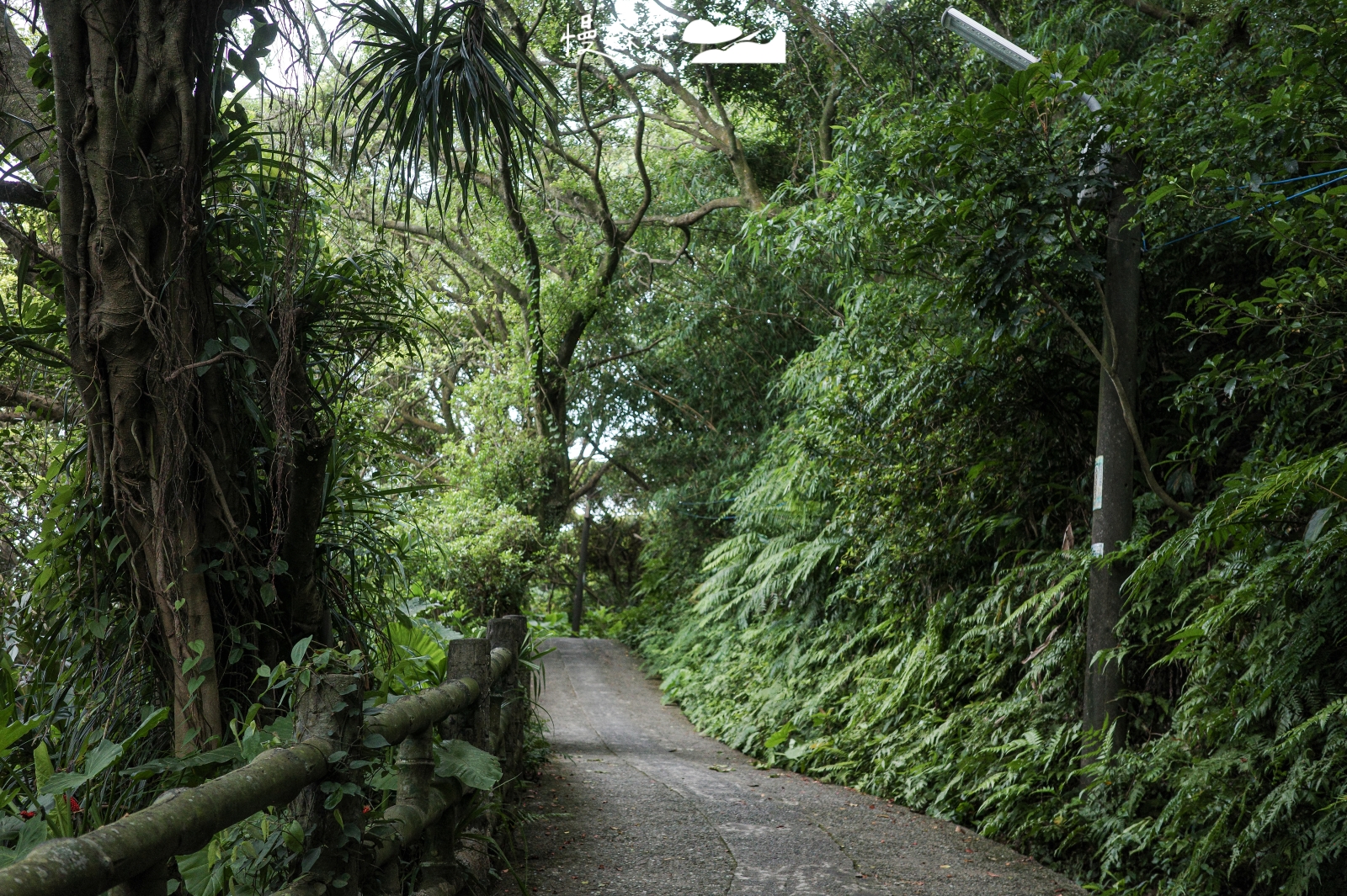 基隆市仁愛區 獅球嶺步道