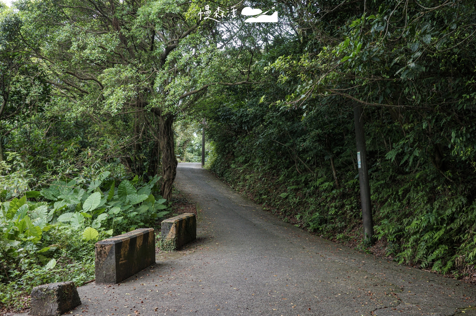 基隆市仁愛區 獅球嶺步道