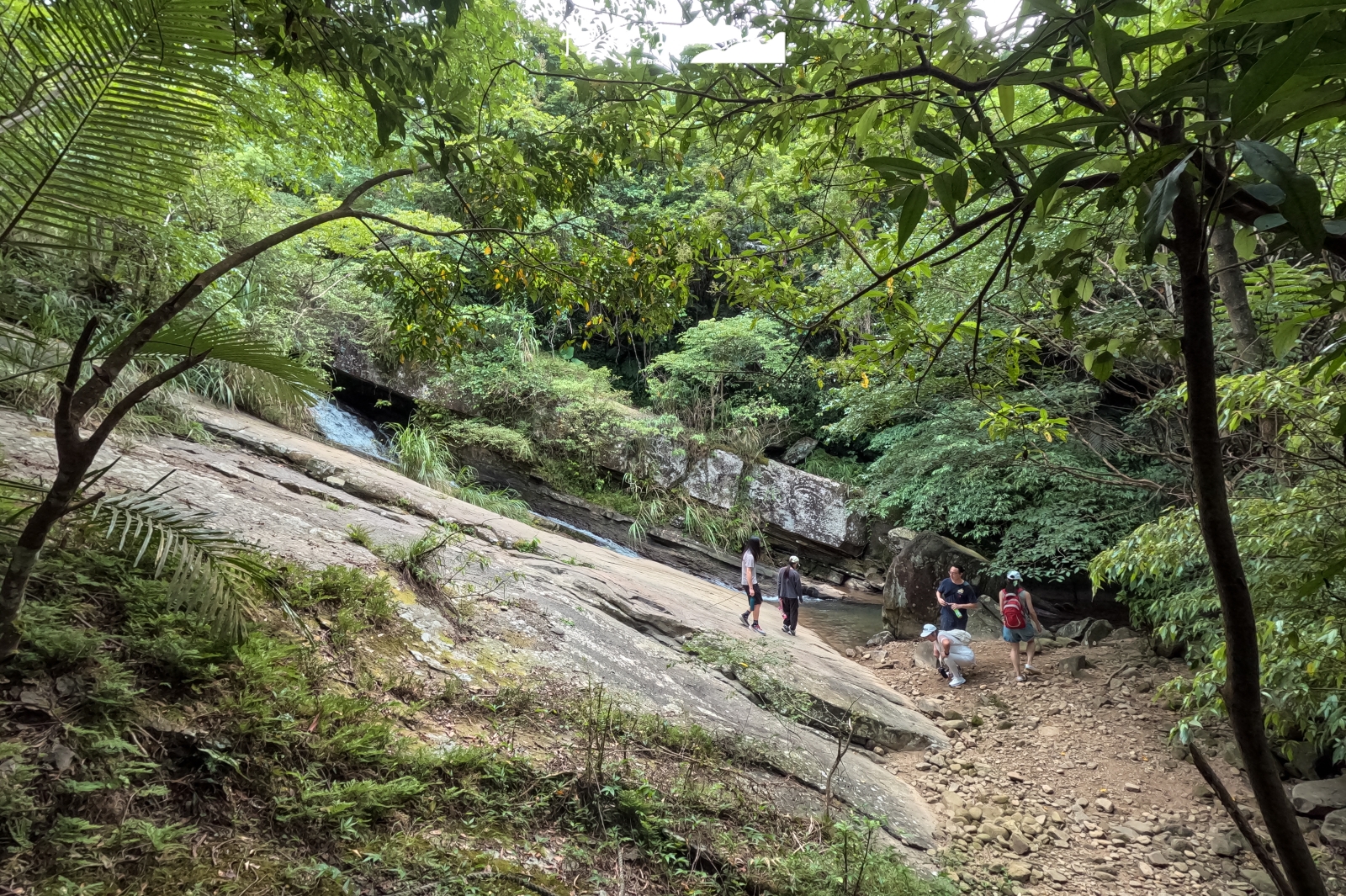 基隆市暖暖區 淡蘭古道 暖東峽谷步道 滑瀑