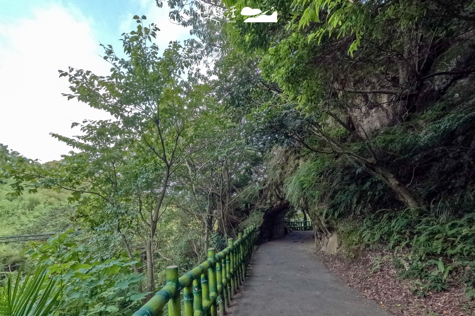 新北市鶯歌區 孫龍步道 二坑隧道