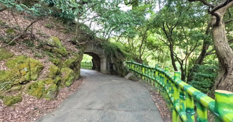 穿過二坑隧道！新北「孫龍步道」串連鶯歌石，成礦業歷史社區型山徑