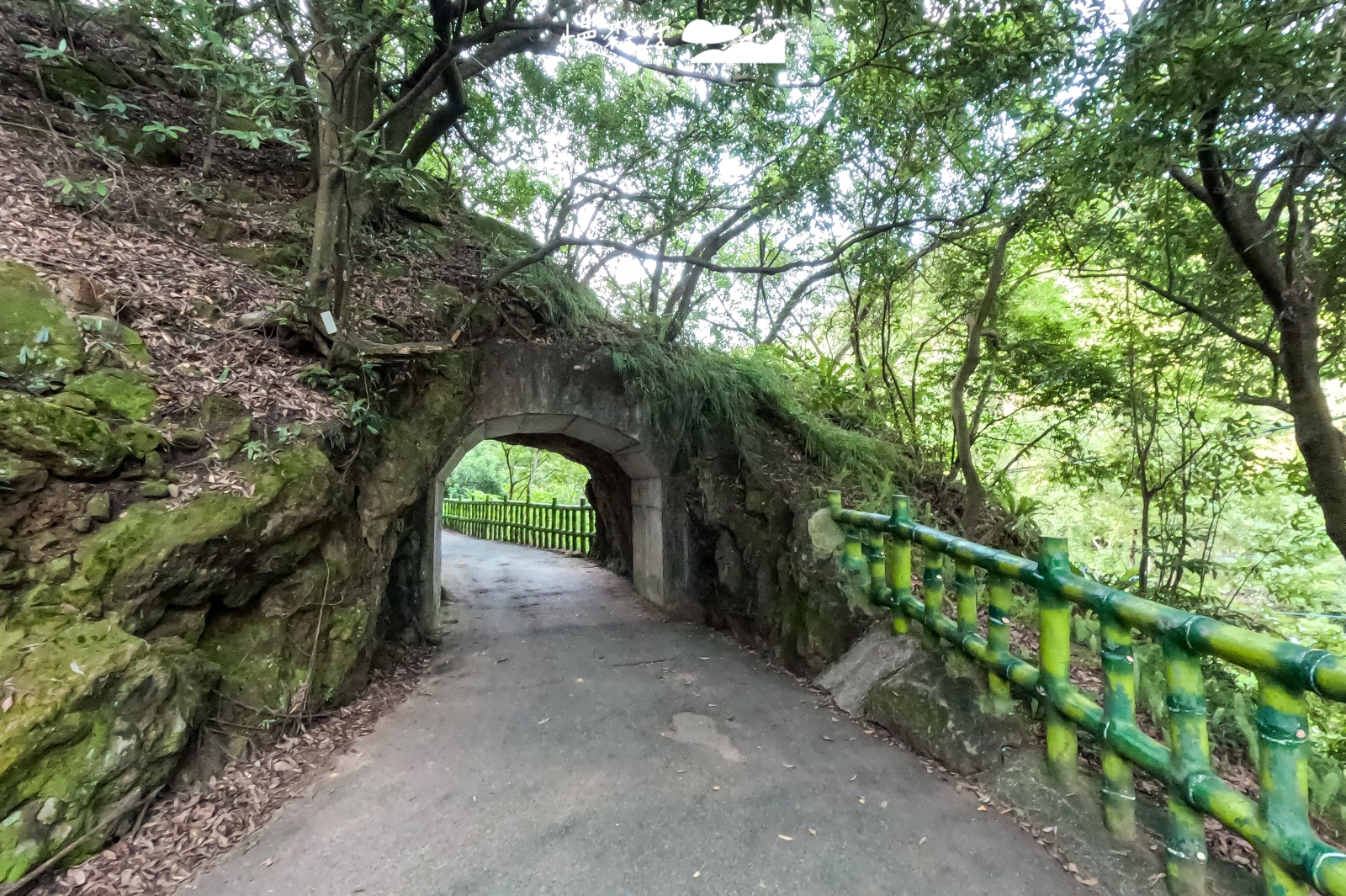 新北市鶯歌區 孫龍步道 二坑隧道