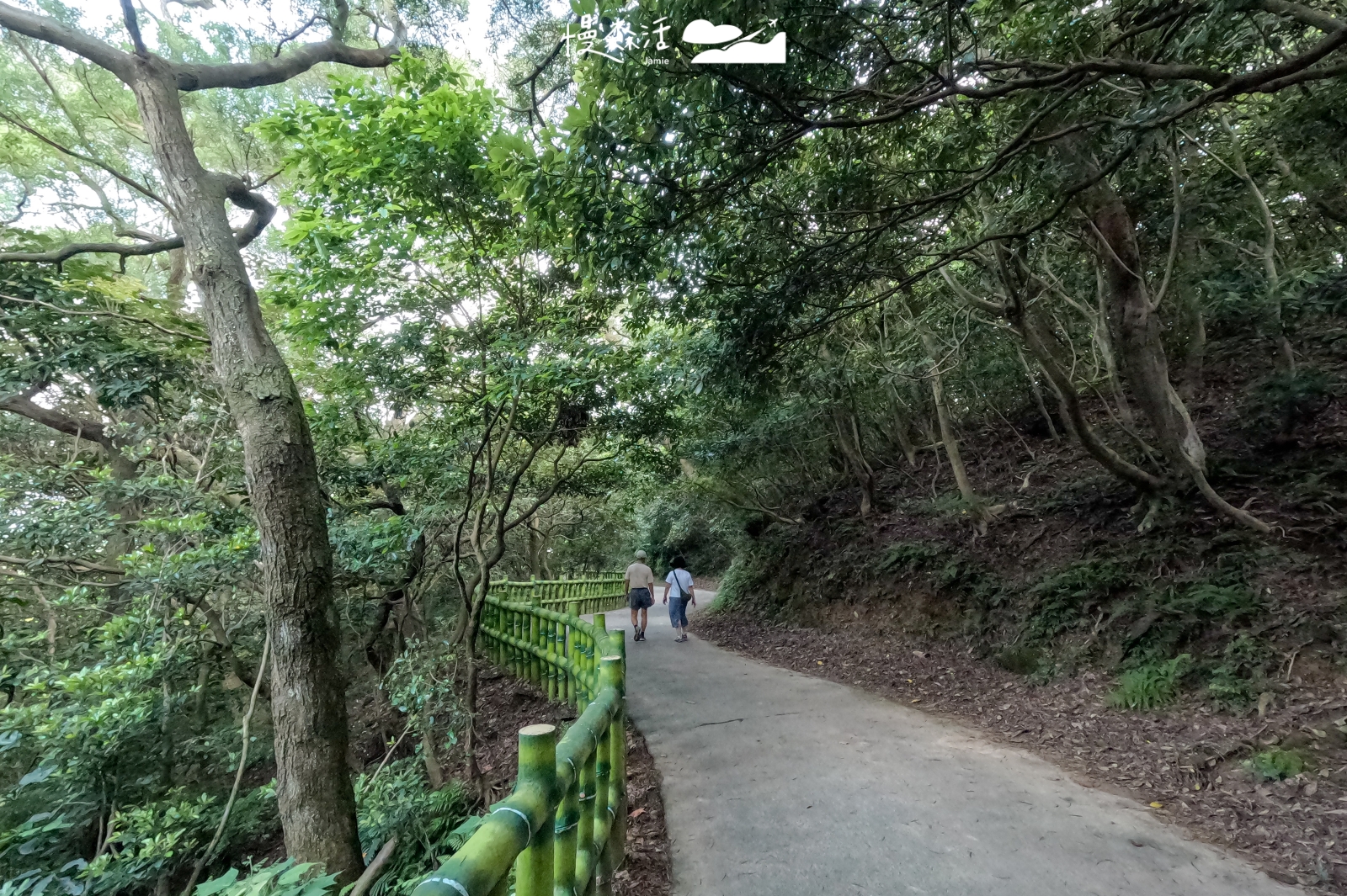新北市鶯歌區 孫龍步道