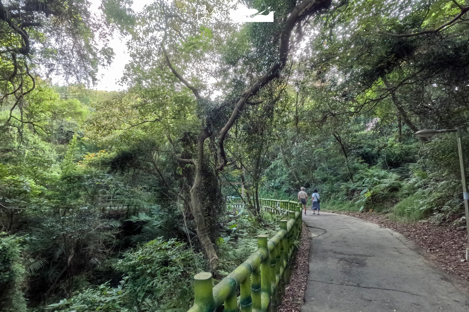 新北市鶯歌區 孫龍步道