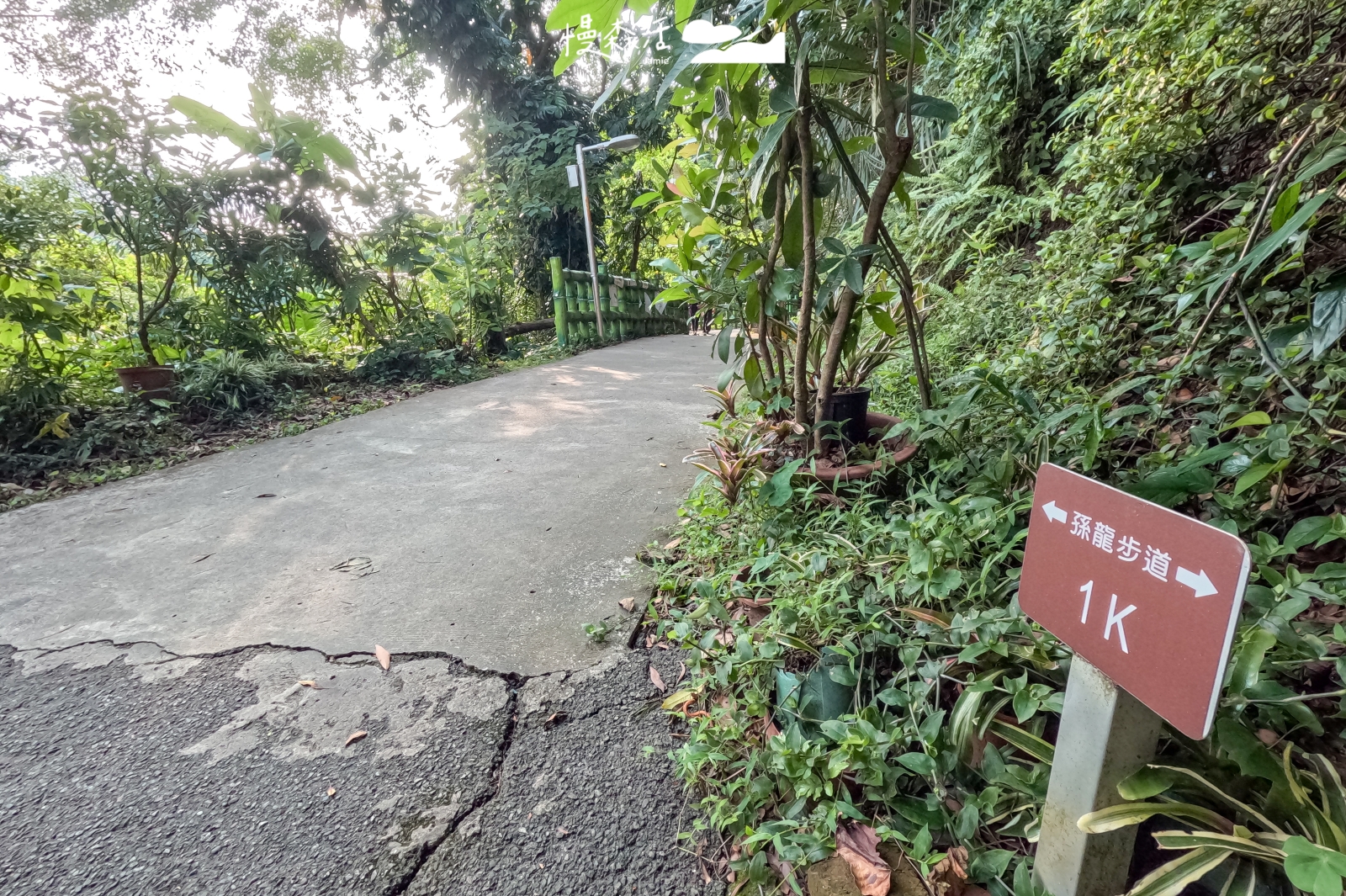 新北市鶯歌區 孫龍步道