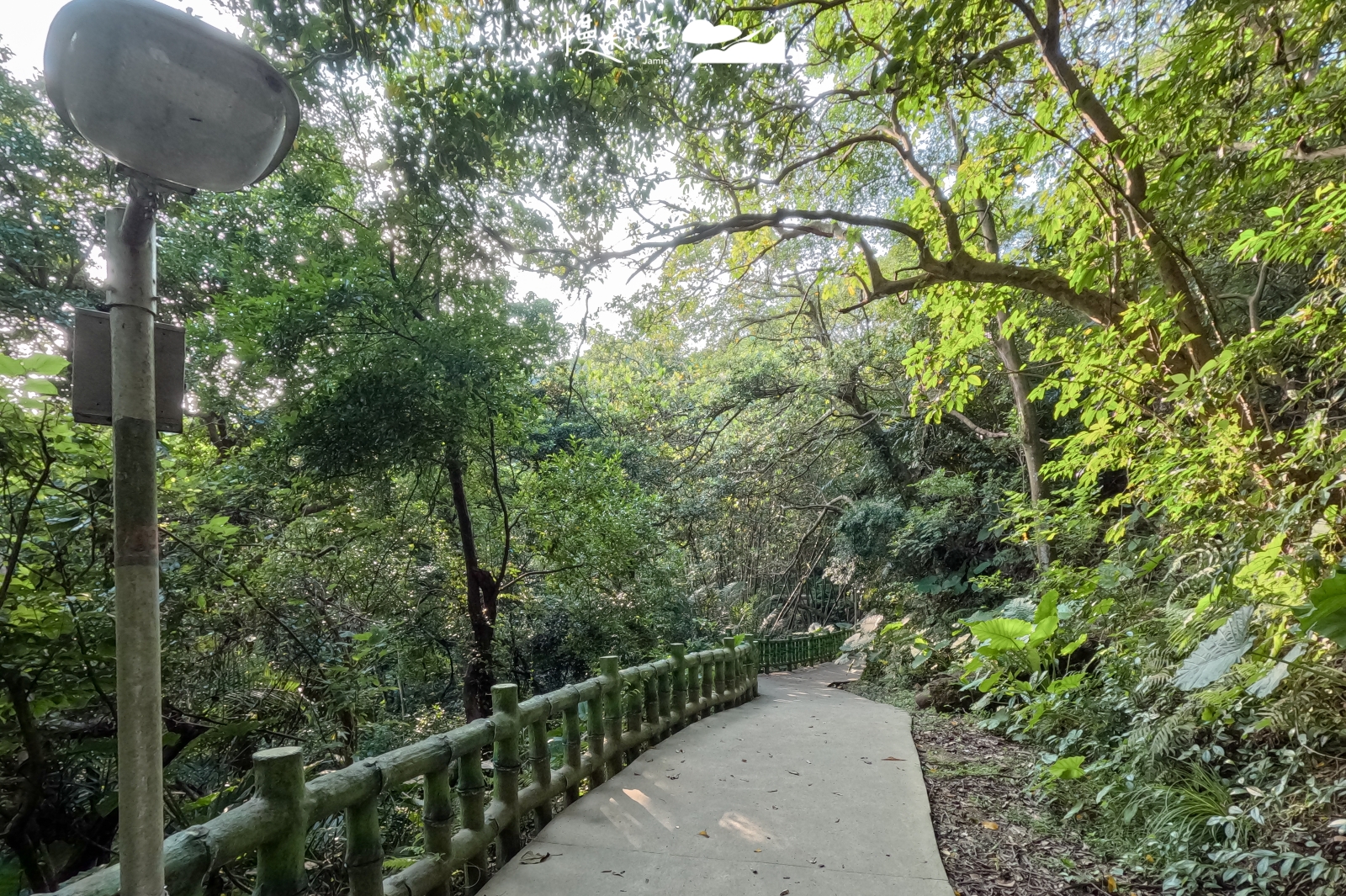 新北市鶯歌區 孫龍步道