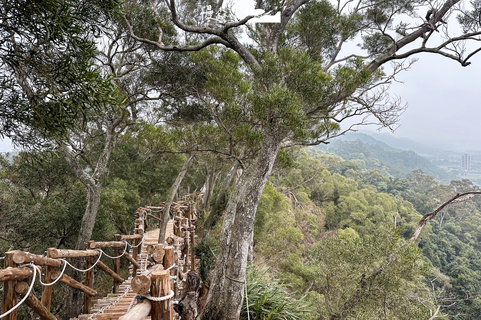新竹「文山步道」30分鐘登頂犁頭山,俯瞰高鐵穿梭田園市景