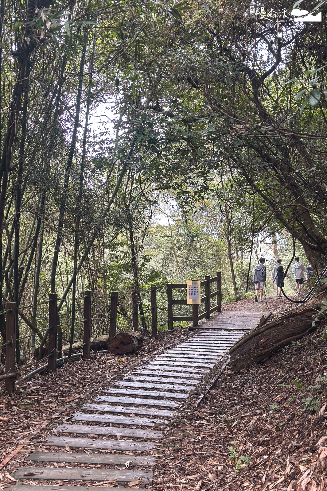 新竹縣新埔鎮 文山步道