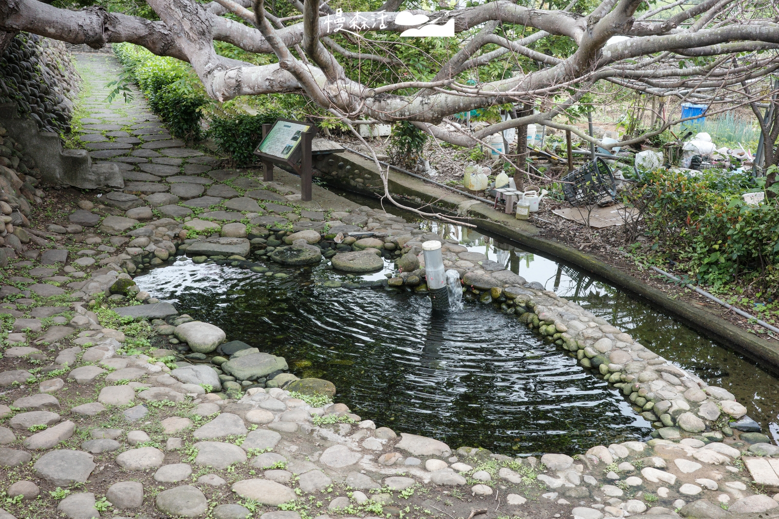 新竹縣新埔鎮 新埔老街 潘屋與洗衫窟