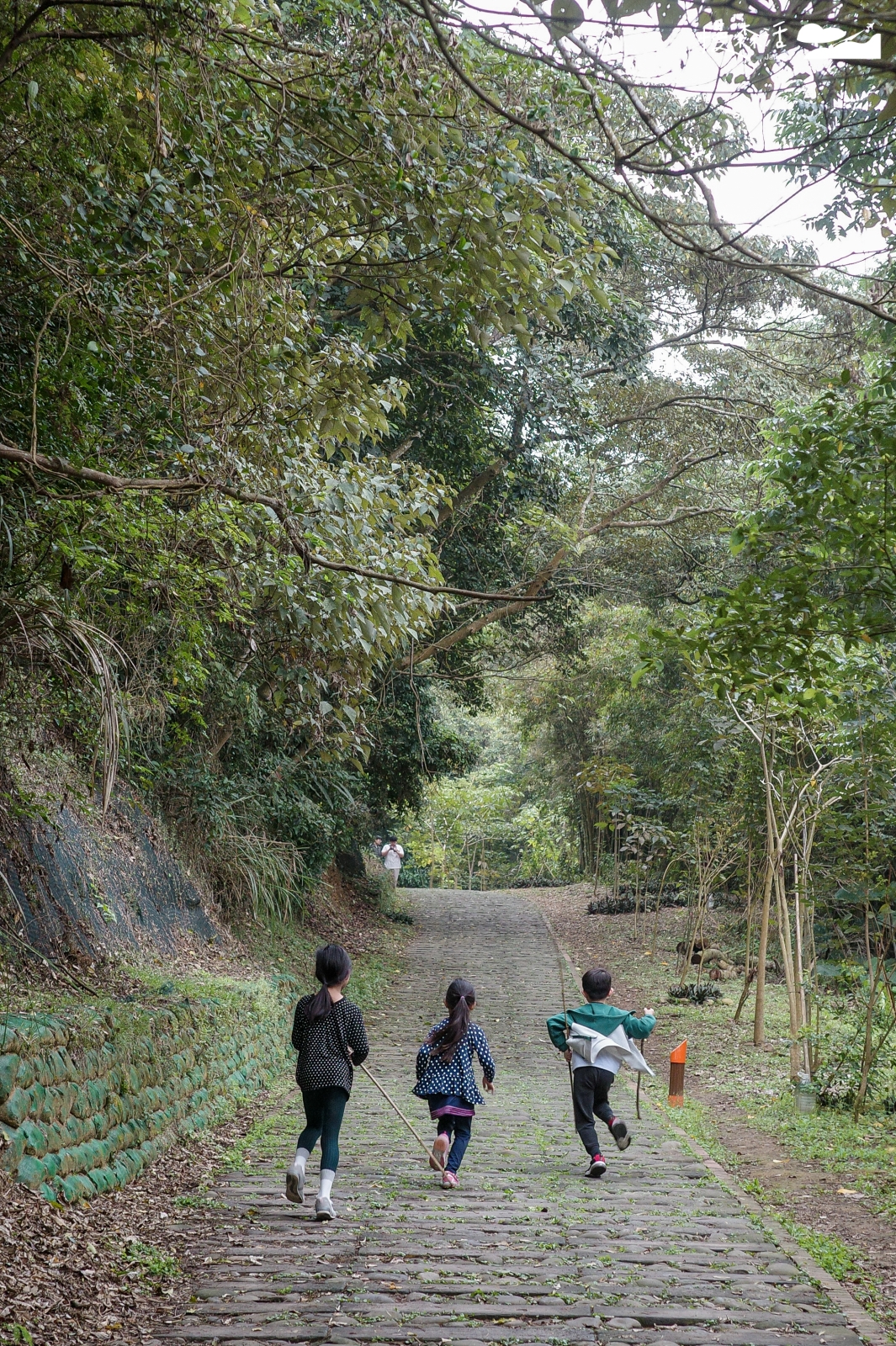 新竹縣新埔鎮 文山步道