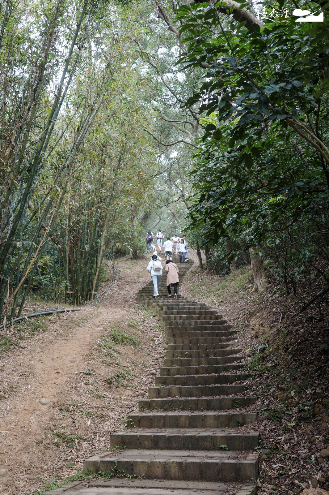 新竹縣新埔鎮 文山步道