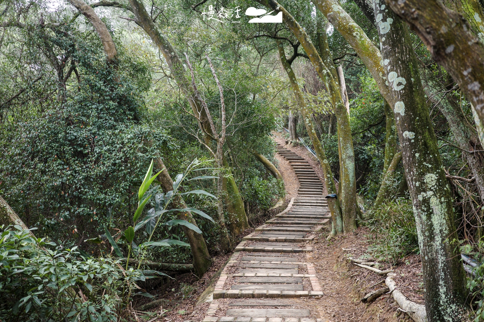 新竹縣新埔鎮 文山步道