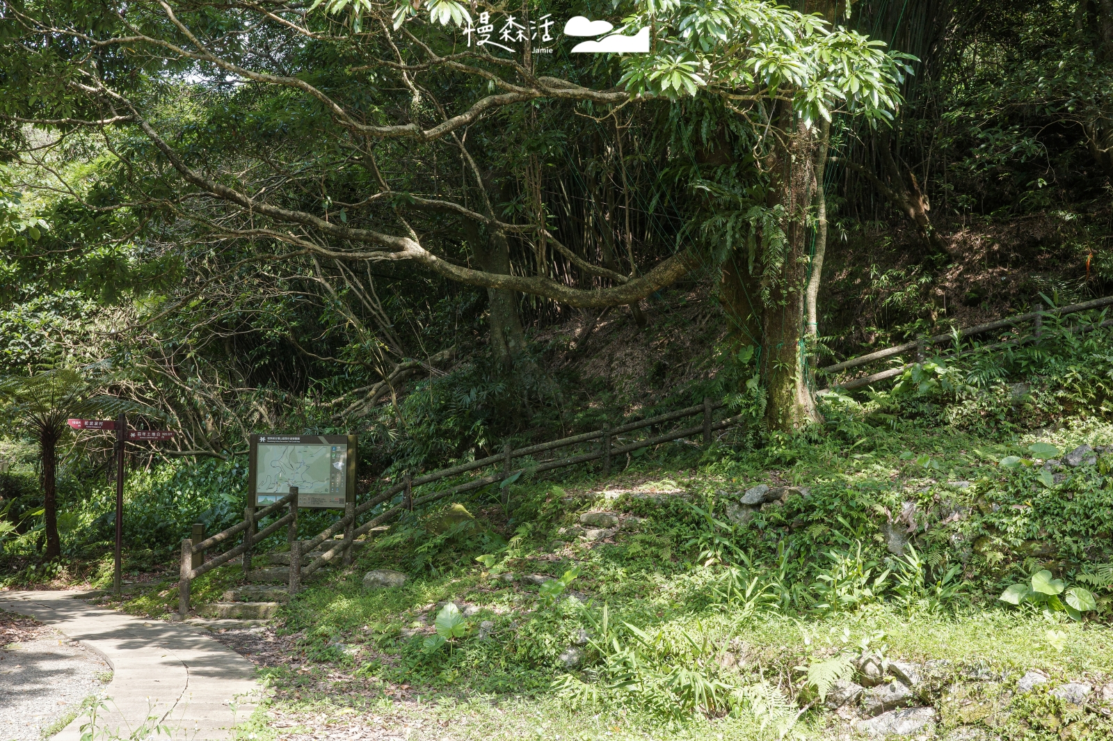 基隆市暖暖區 淡蘭古道 暖東峽谷步道