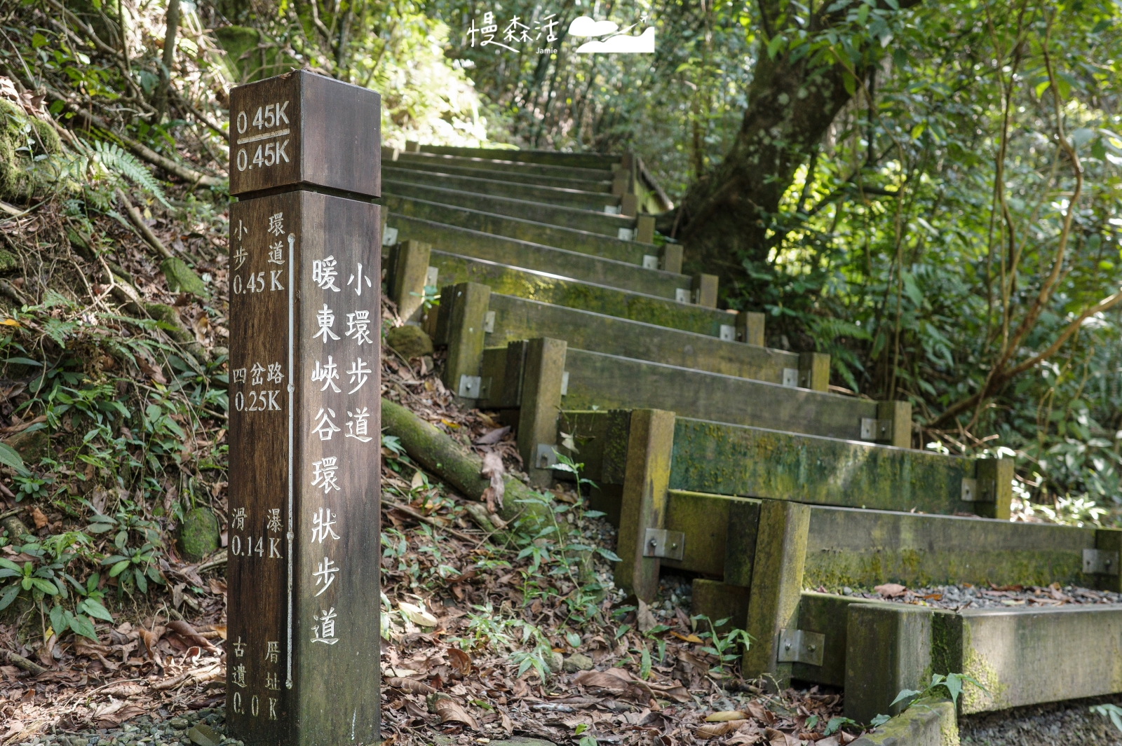 基隆淡蘭古道「暖東峽谷步道」公車直達,體驗滑瀑溪流消暑秘境