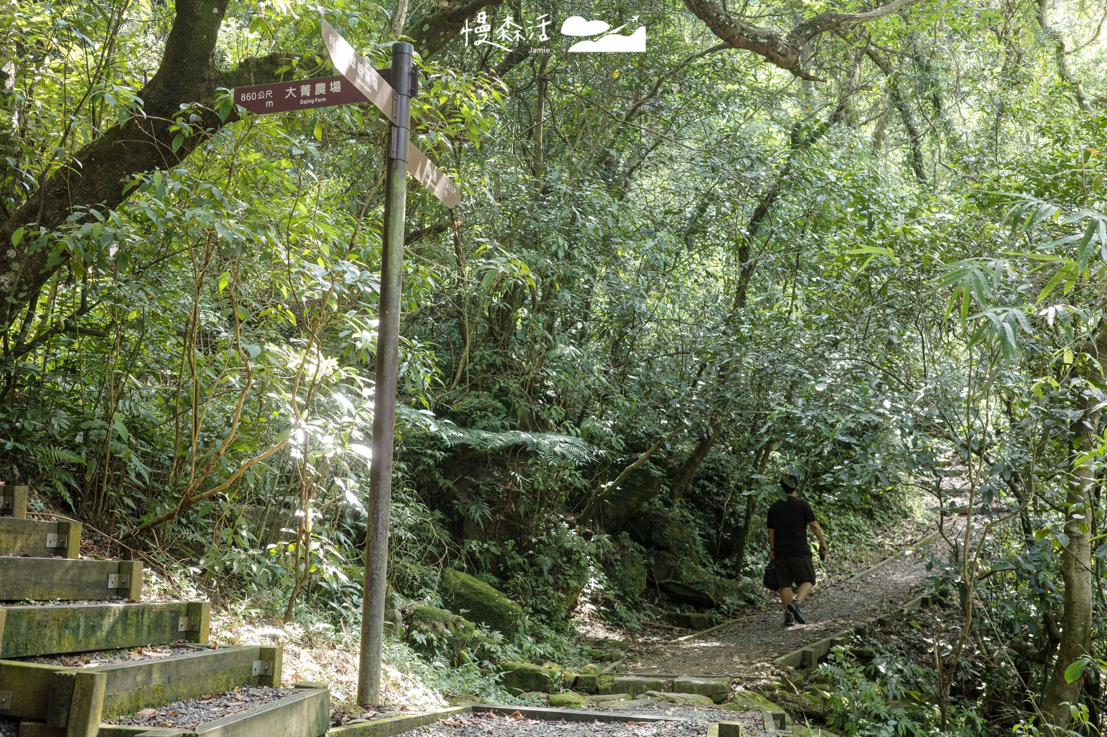 基隆市暖暖區 淡蘭古道 暖東峽谷步道