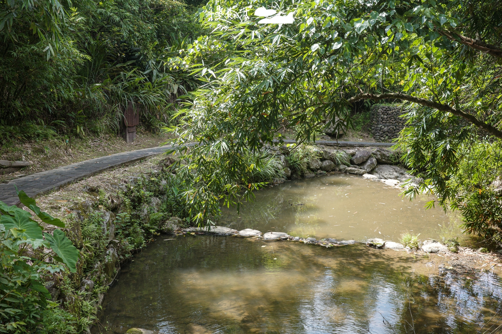 台北市文山區 小坑溪文學步道