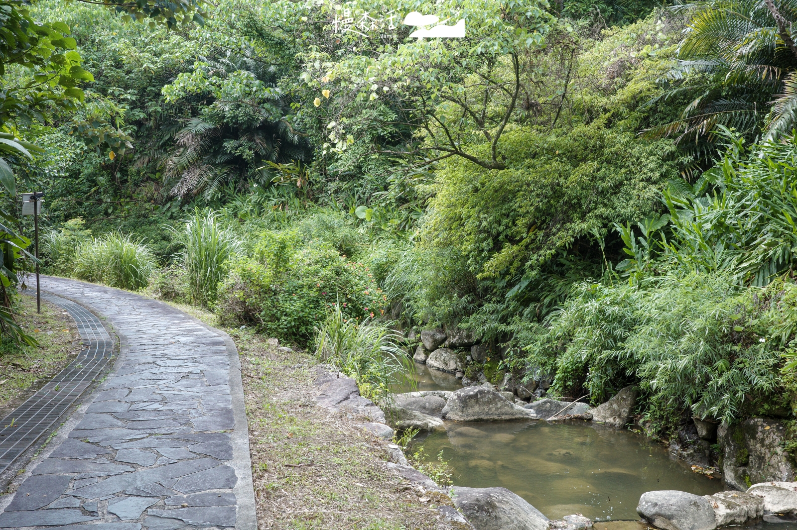 台北市文山區 小坑溪文學步道