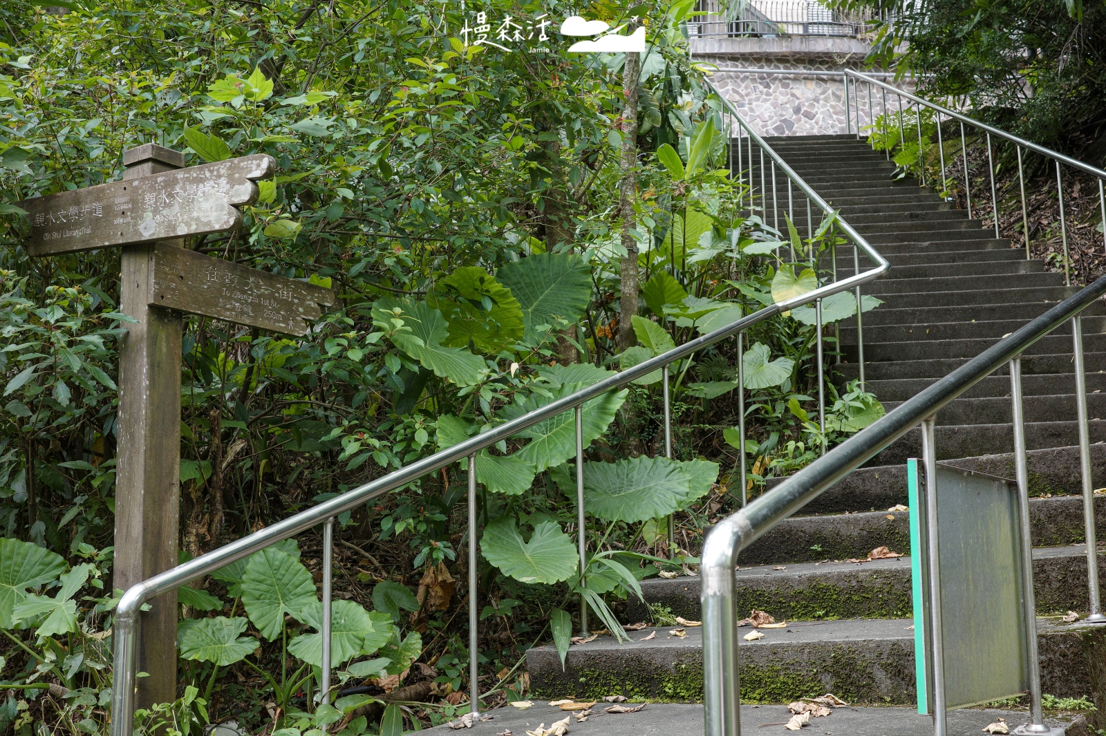 台北市文山區 小坑溪文學步道 出入口