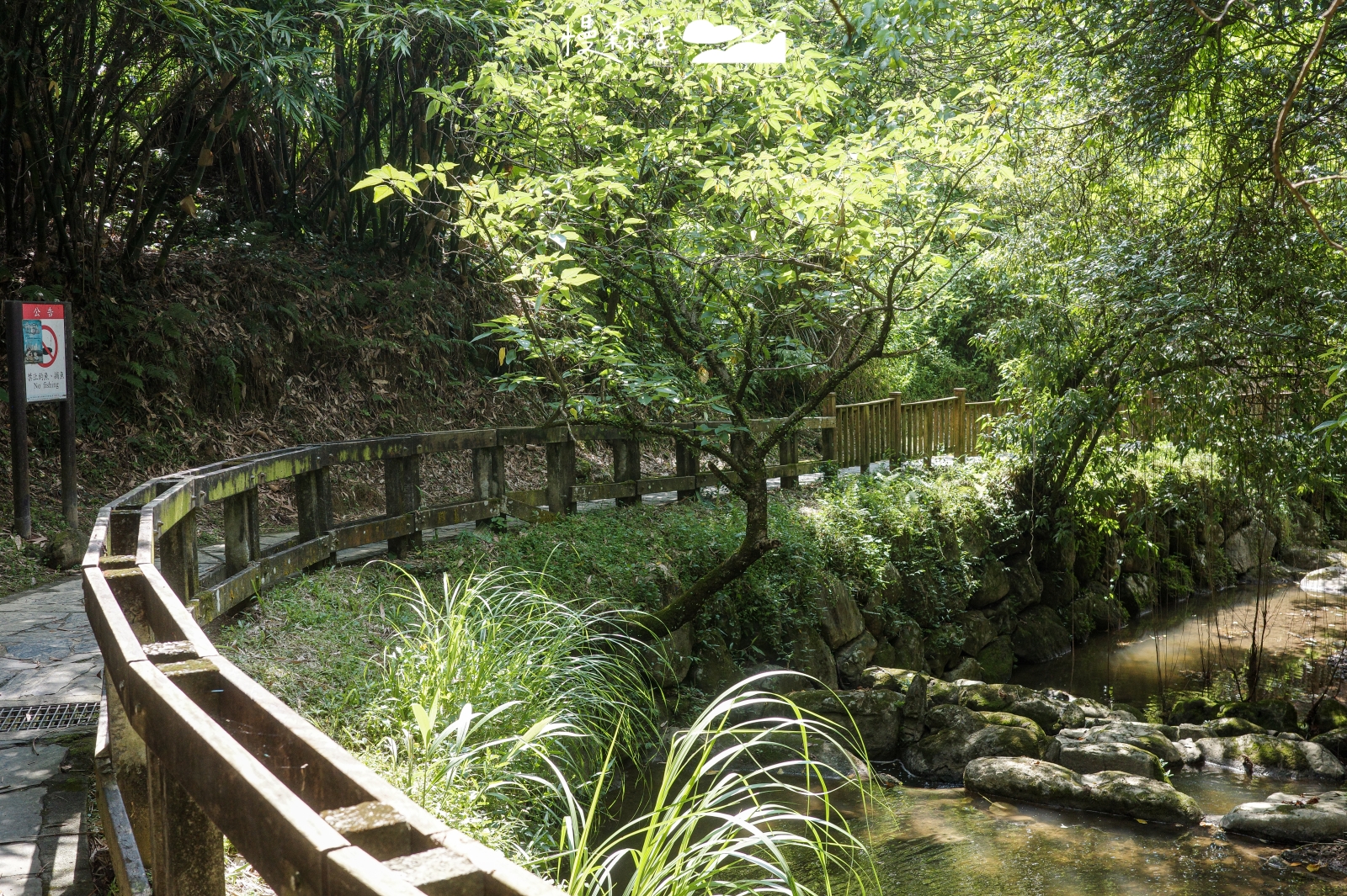 台北市文山區 小坑溪文學步道