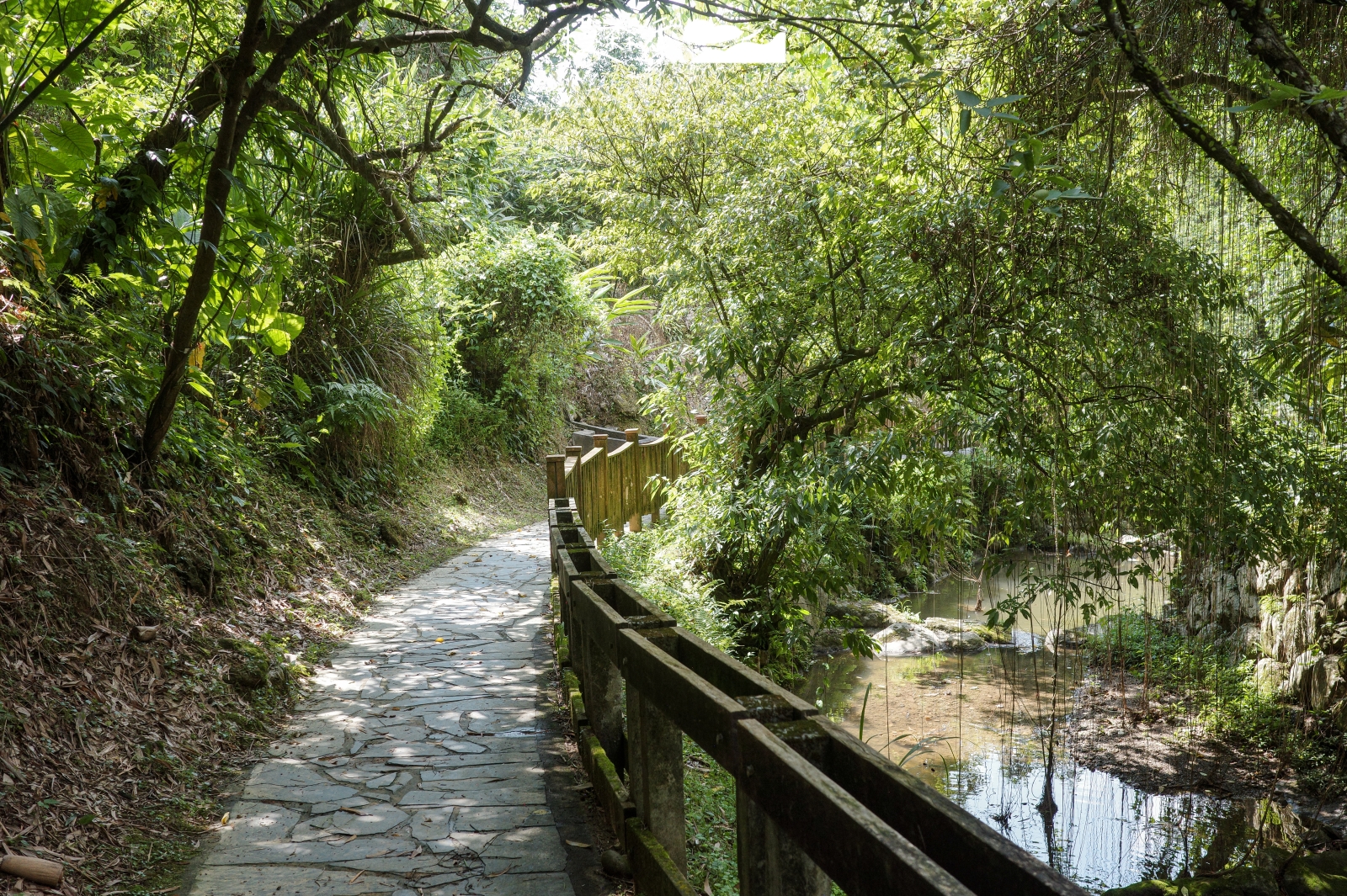 台北市文山區 小坑溪文學步道