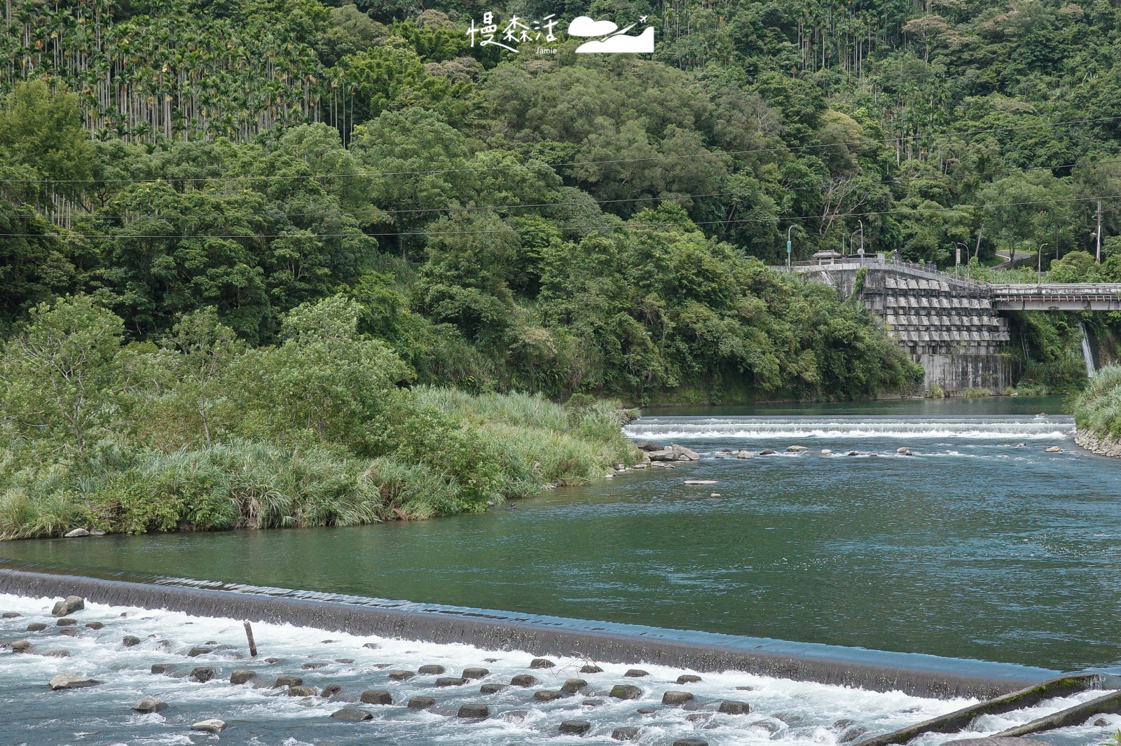 新北市坪林區 𩻸魚堀溪觀魚步道