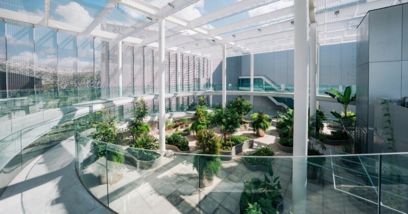 台中「無界花園」生根綠美圖，植栽浮島再造多元文化共生空間