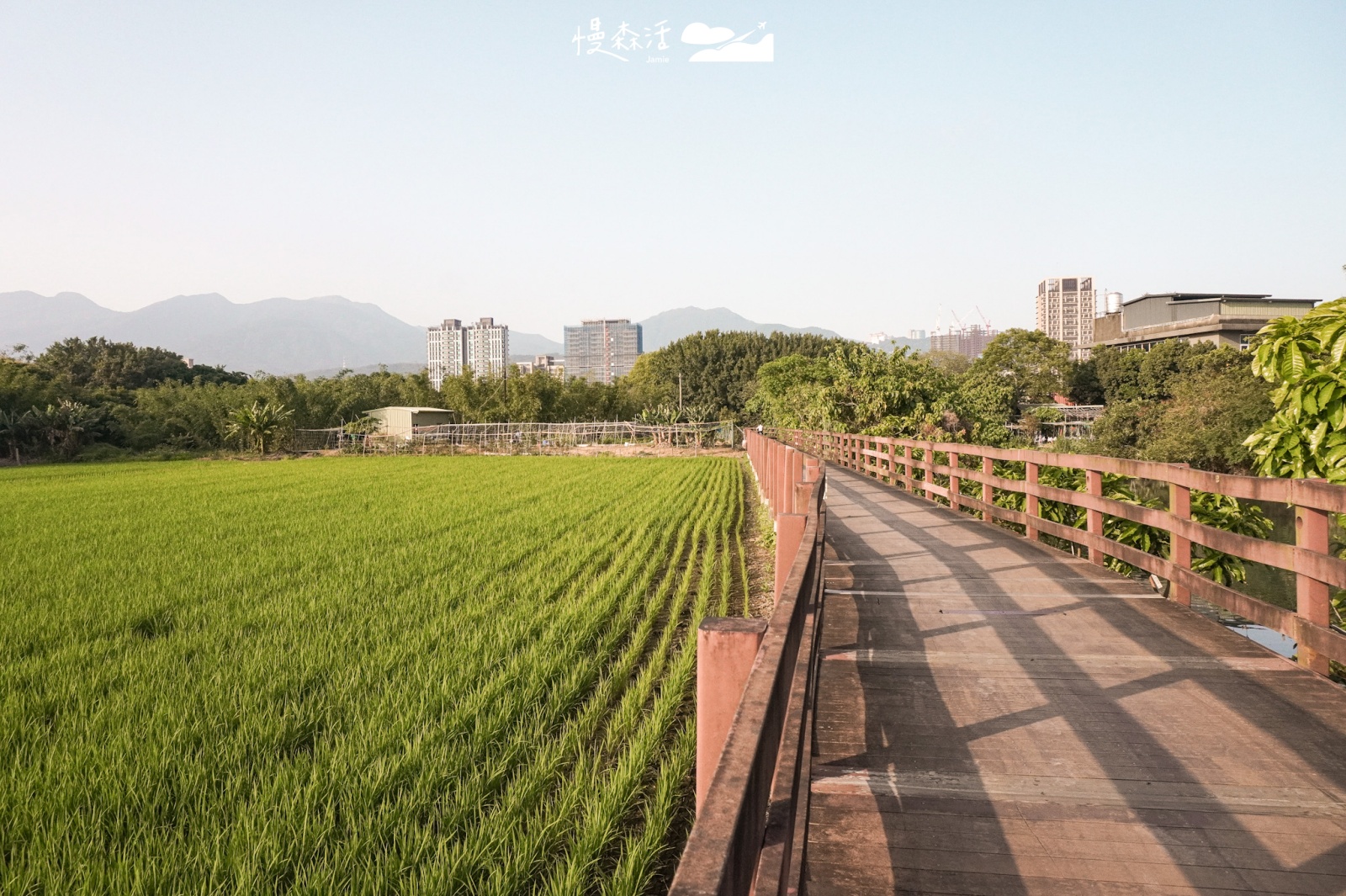台北市北投區 舊雙溪河步道